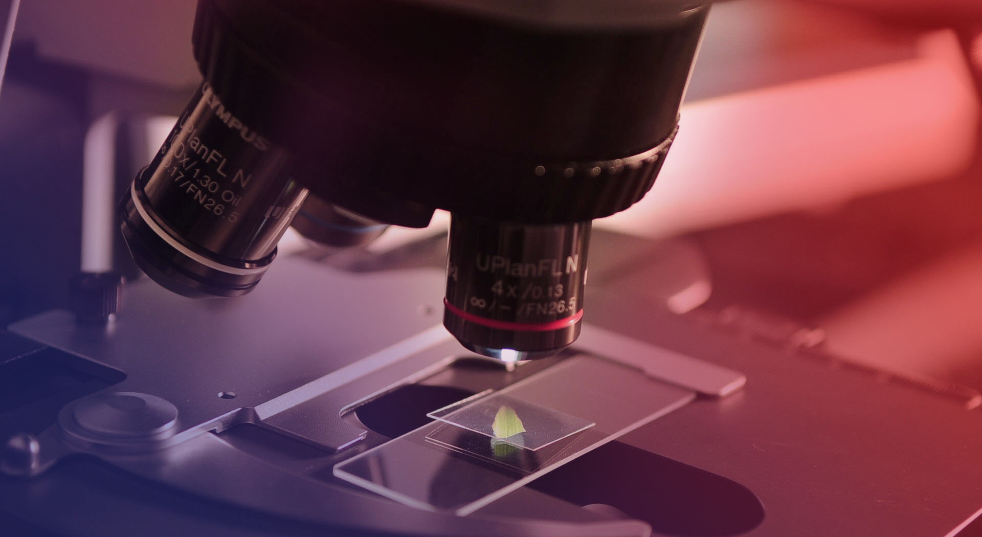 Vision based Quality Inspection System